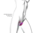 Obraz 5/8 - Love to Love Wonderlover - vibrátor na klitoris s bodom G (kovovo ružový)