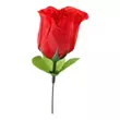 Obraz 1/9 - Panty Rose - nohavičky skryté v ruži - červené (S-L)